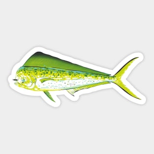 Moustached Dorado Sticker